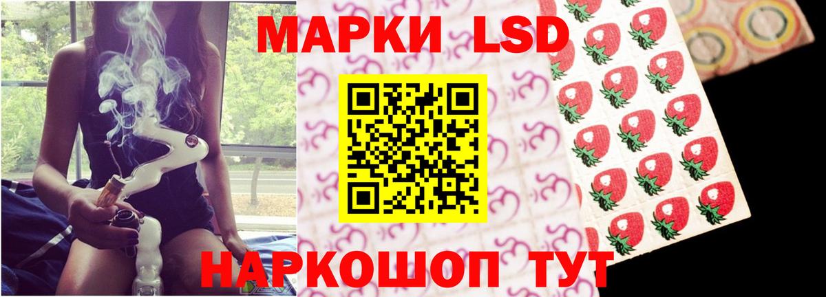 Шебекино  blacksprut ONION  Вход с VPN  ЛСД экстази кислота  ЛСД экстази ecstasy 