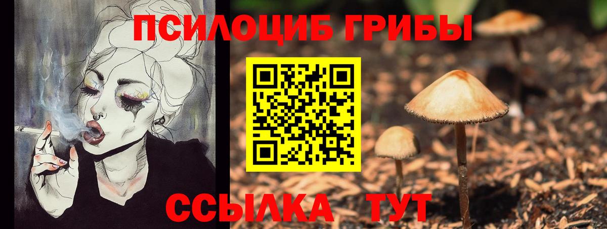 Галлюциногенные грибы Cubensis  Вход с VPN  Шебекино 